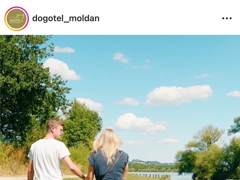 Pärchenglück auf Naturpfaden entdecken Ein Mann und eine Frau spazieren zusammen mit Ihrem Hund am Fluss entlang im Naturhinterland.
