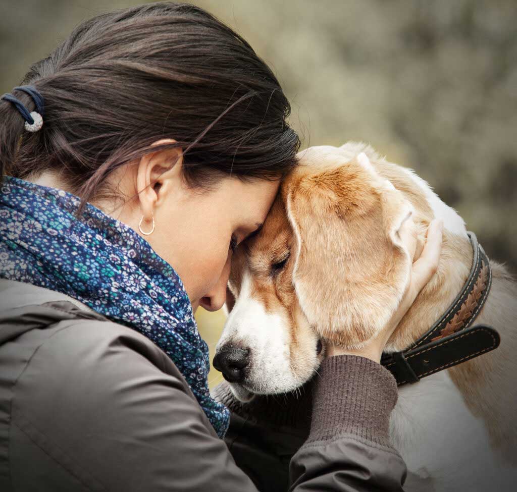 Eine Frau drückt liebevoll ihre Stirn an die eines älteren Hundes