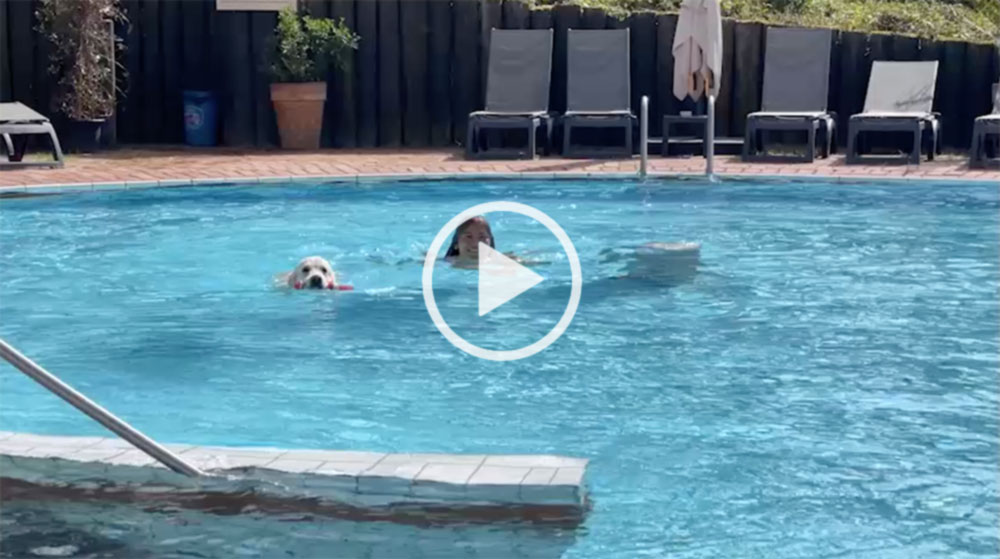 Vorschaubild für Video: Celina und Amira im Pool
